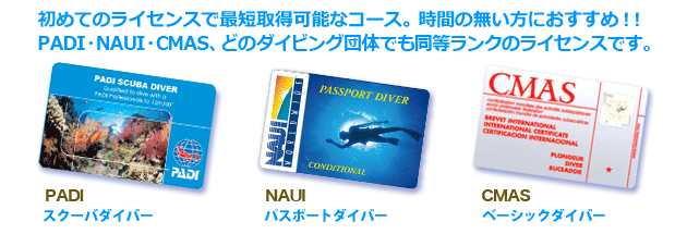 【新品未使用】激レア!! NAUI ハローキティ スキューバ ライセンスカード