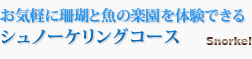 お気軽にサンゴと魚の楽園を体験できるシュノーケリングコース