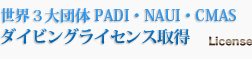 世界３大団体PADI・NAUI・CMASのダイビングライセンス取得